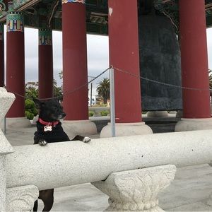 Meet your Posher, Randi